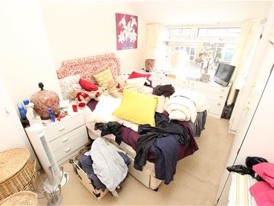 Picture 7